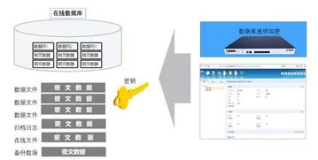 史上最细医院信息化标准出炉,奉上 安全防护 解题思路 下
