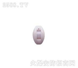 振南探测器 安防科技先锋，加盟店优势解析